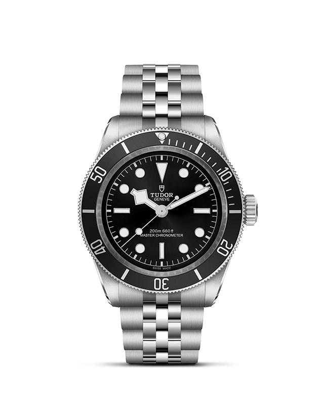 Tudor Black Bay