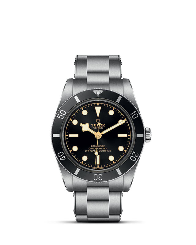 Tudor Black Bay 54