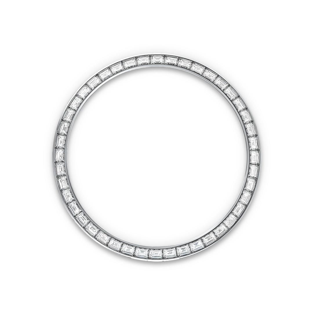Land-Dweller Diamond-set bezel image