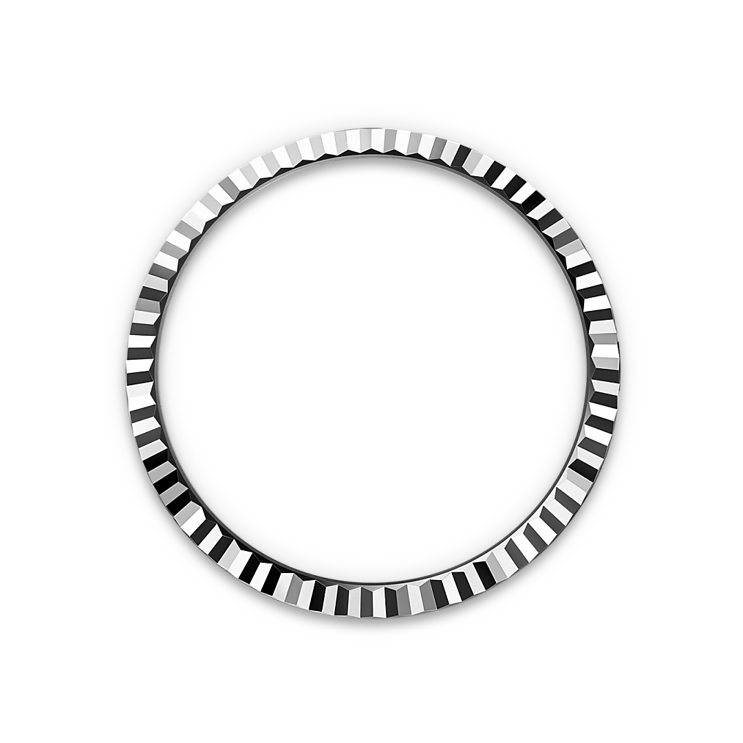 Land-Dweller Fluted bezel image