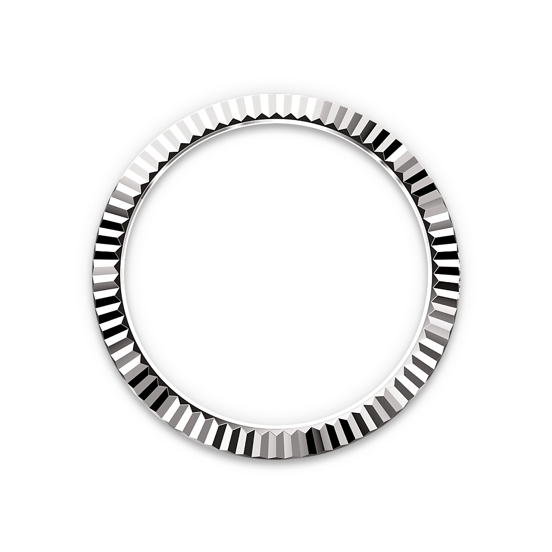 Sky-Dweller The Fluted Bezel image