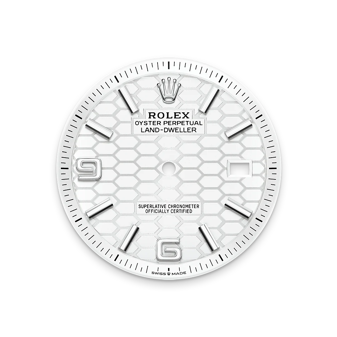 Land-Dweller Intense white dial image