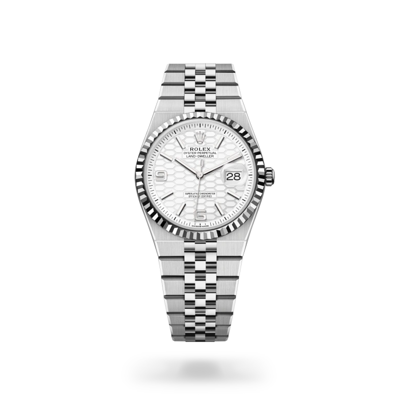 Land-Dweller 36 m127234-0001 Cover Image