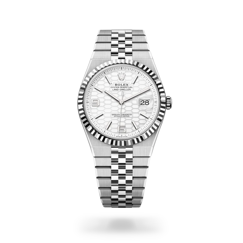 Land-Dweller 40 m127334-0001 Cover Image