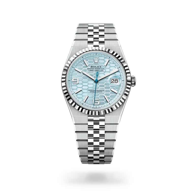 Land-Dweller 40 m127336-0001 Cover Image